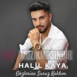Halil Kaya