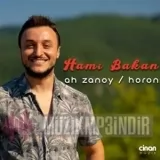 Hami Bakan