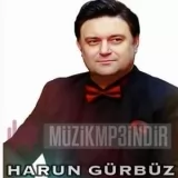 Harun Gürbüz