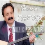 Hasan Papur