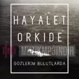 Hayalet Orkide