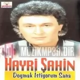 Hayri Şahin