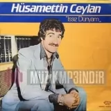 Husamettin Ceylan