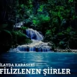 İlayda Karaseki