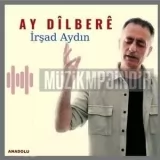 İrşad Aydın