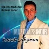 İsmail Akyasan