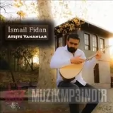 Ismail Fidan