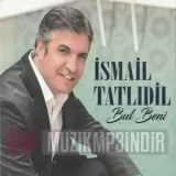 Ismail Tatkidil