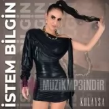 İstem Bilgin