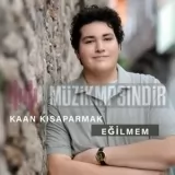 Kaan Kisaparmak