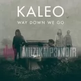 Kaleo