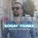 Koray Yılmaz