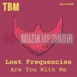 Lost Frequencies