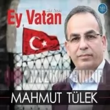 Mahmut Tülek