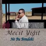 Mecit Yigit