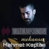 Мехмет Каплан