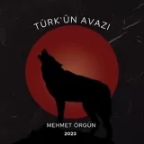 Mehmet Orgun