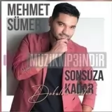 Mehmet Sümer