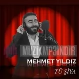 Mehmet Yıldız