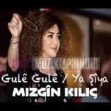 Mizgin Kilic