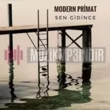 Modern Primat