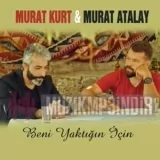 Murat Kurt