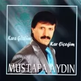 Mustafa Aydın