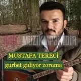 Mustafa Tereci