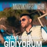 Nazmi Ushaklioglu