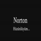 Norton