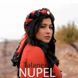 Nupel Hejan