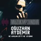 Oguzhan Aydemir