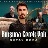 Oktay Bora