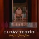 Olcay Testici