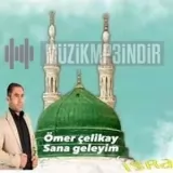 Omer Chelikay