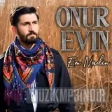 Onur Evin