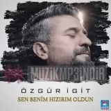 Özgür İgit