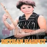 Reyhan Harput