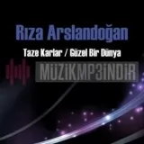 Riza Aslandogan