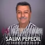 Salim Pepedil