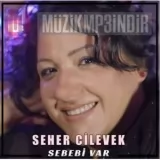 Seher Civelek