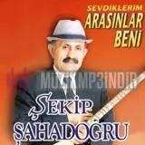 Şekip Şahadoğru