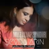 Şeyda Arın