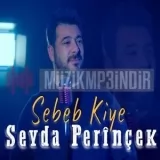 Seyda Perinçek