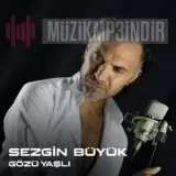 Sezgin Buyuk