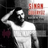 Sinan Guleryuz