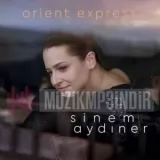 Sinem Aydıner