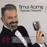 Timur Acımış