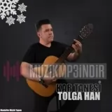 Tolga Han