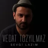 Vedat Tozyilmaz